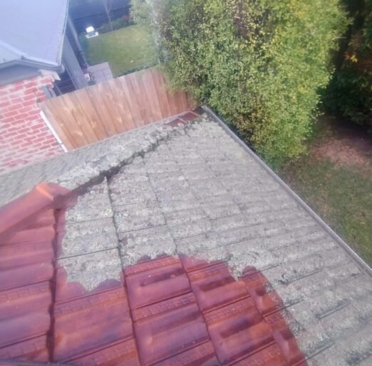 Roof Cleaning