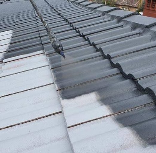Roof Painting