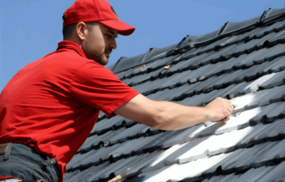home-page-roof-painting